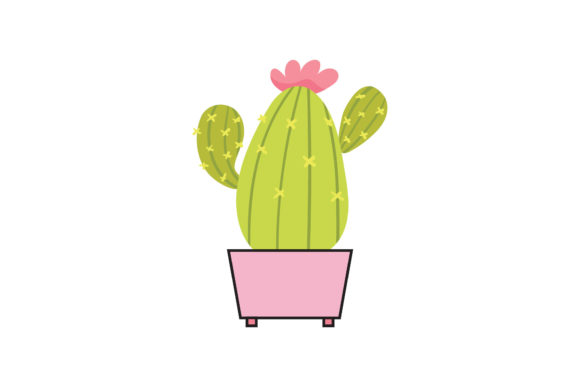 Download Cactus Design Botanical - Botanical Collection